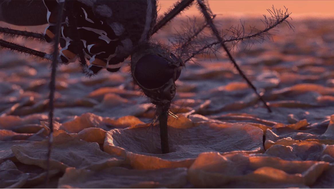 ScreenShot20160628at004717.png