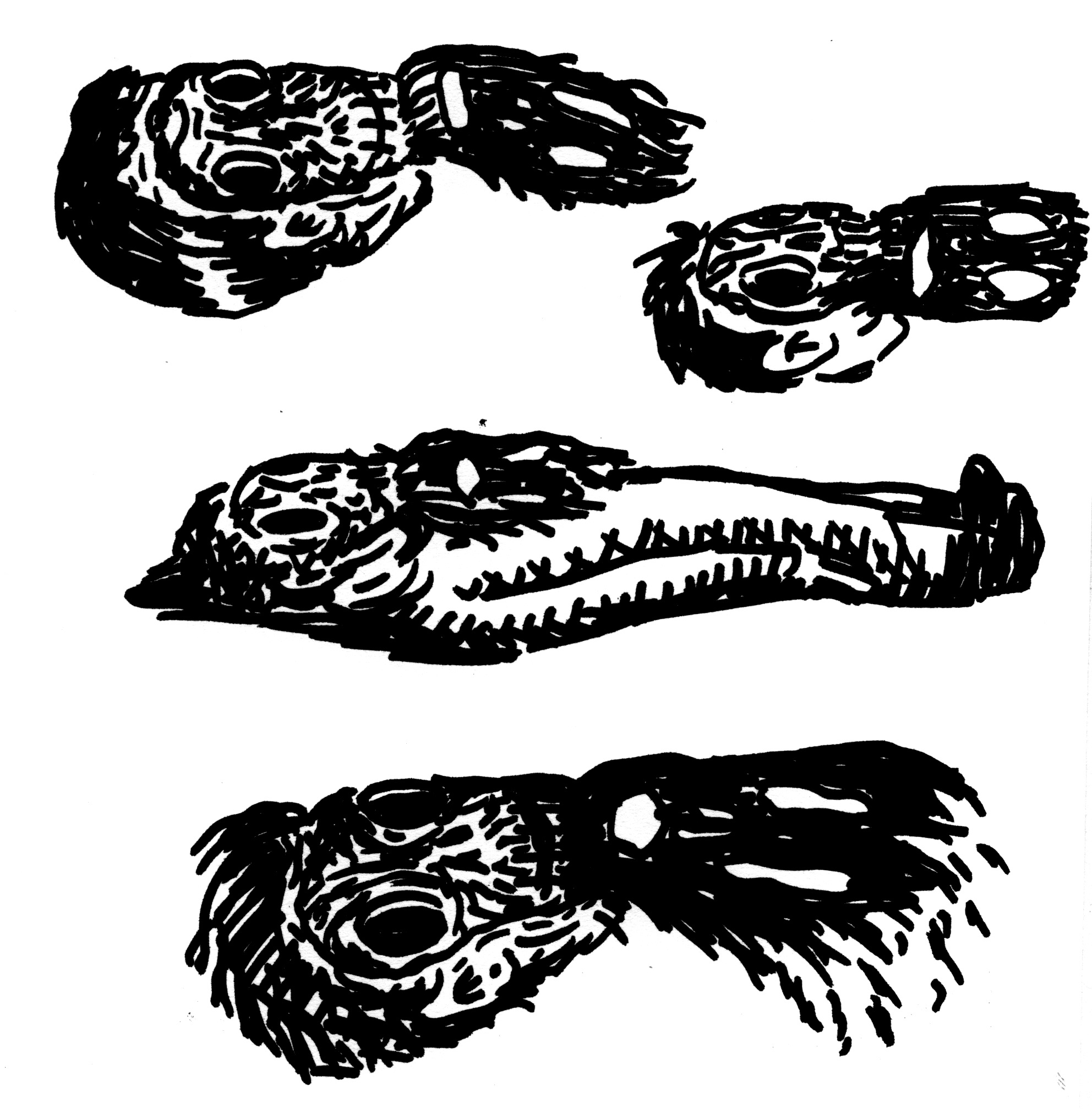 CraterScan1410150007.jpg